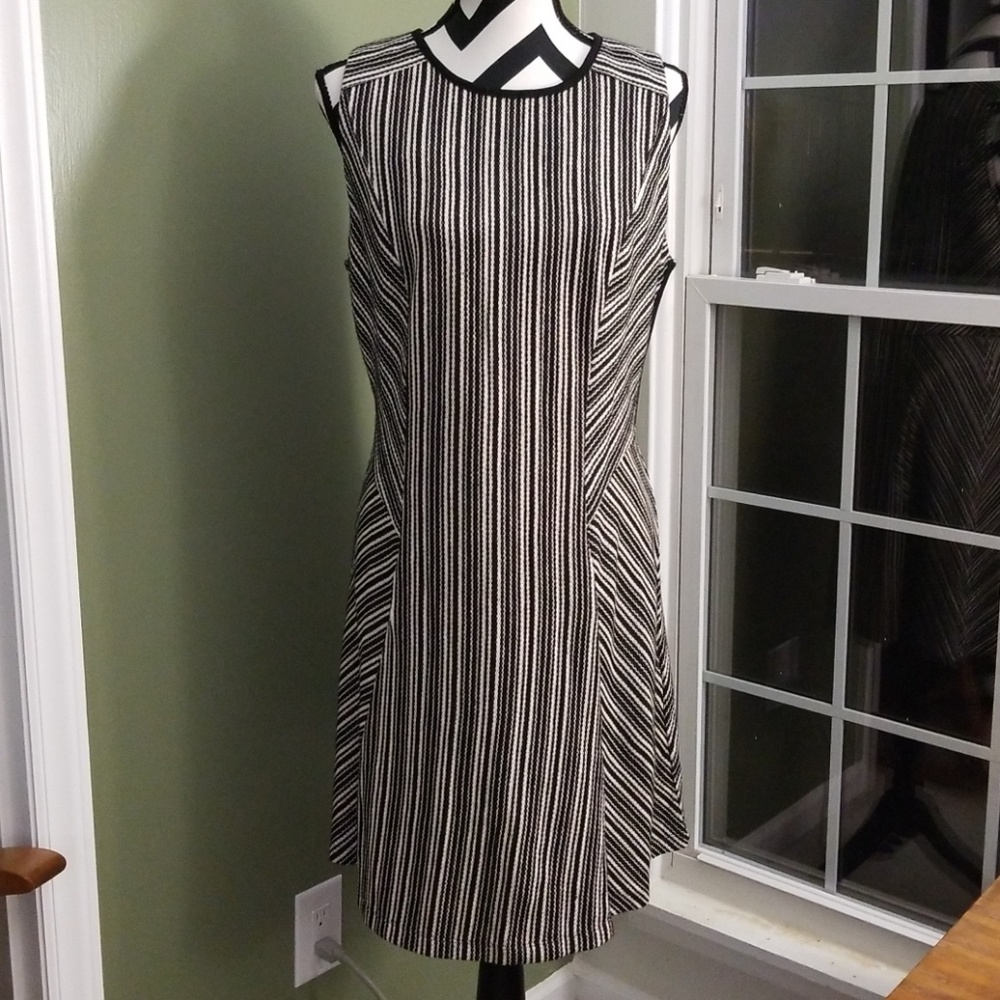 NWT Cato Dress
